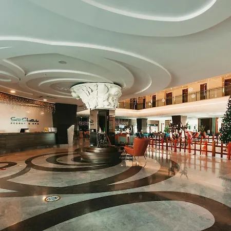 Hotel Seashell &